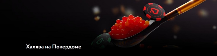 Слоты на любой вкус и бюджет на сайте Pokerdom