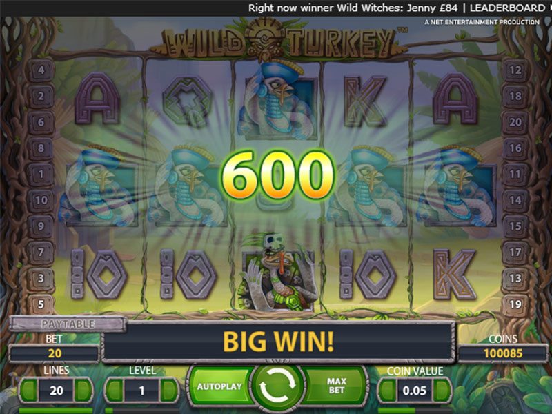 Wild Turkey: Super Cool Demo және Real Money Slot Pokerdom