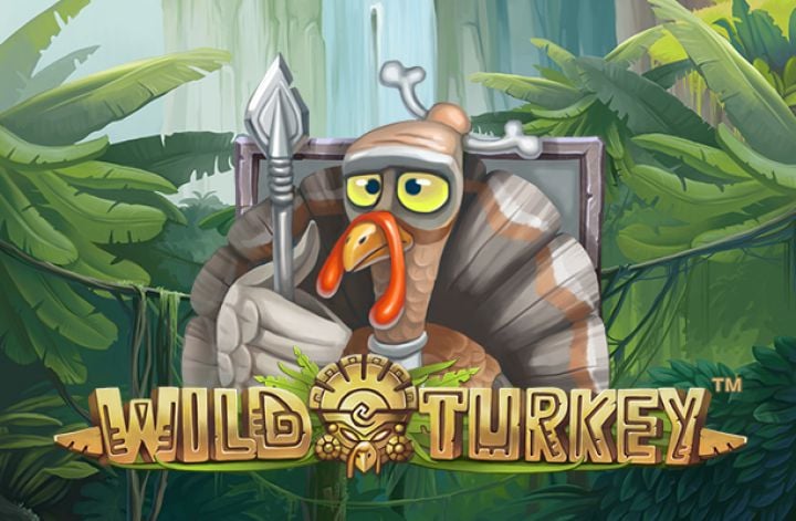 Wild Turkey: мега-крутой слот в режиме демо и на деньги Pokerdom