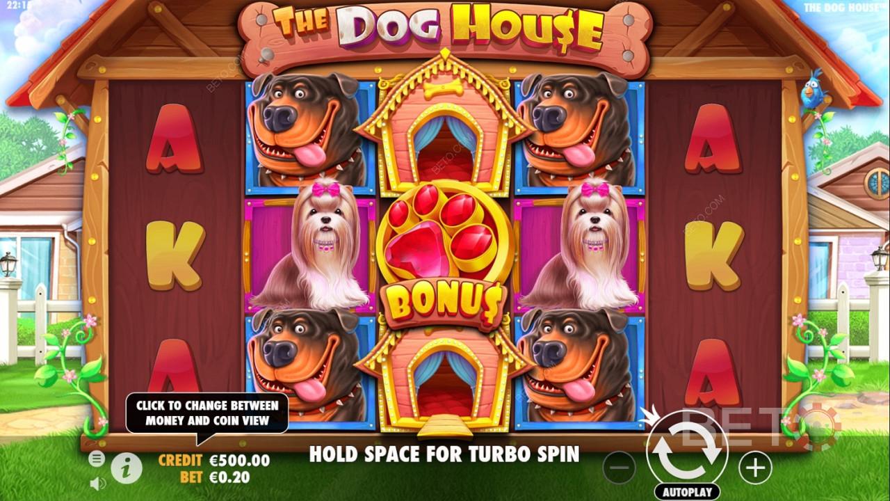Стратегия управления банкроллом в слоте The Dog House