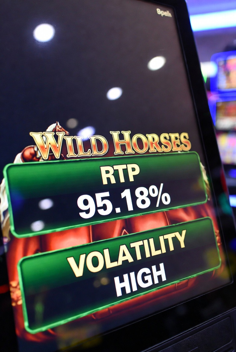 Показатель RTP и волатильность слота Wild Horses в Pokerdom